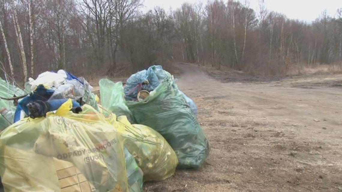Święto Ziemi – sprzątamy! Święto Ziemi – sprzątamy!