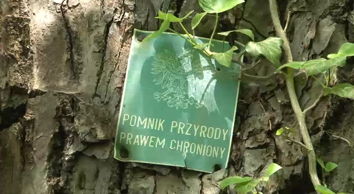 Więcej pomników w gminie