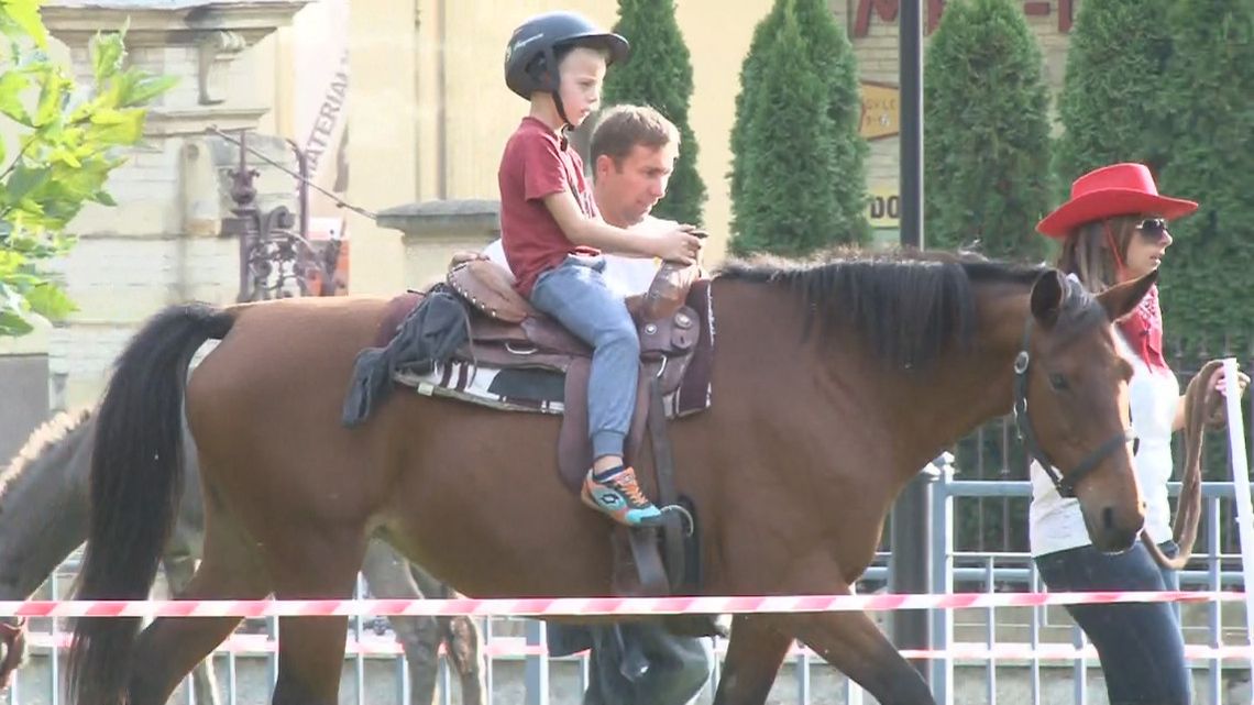 Zabawa dla zwierząt