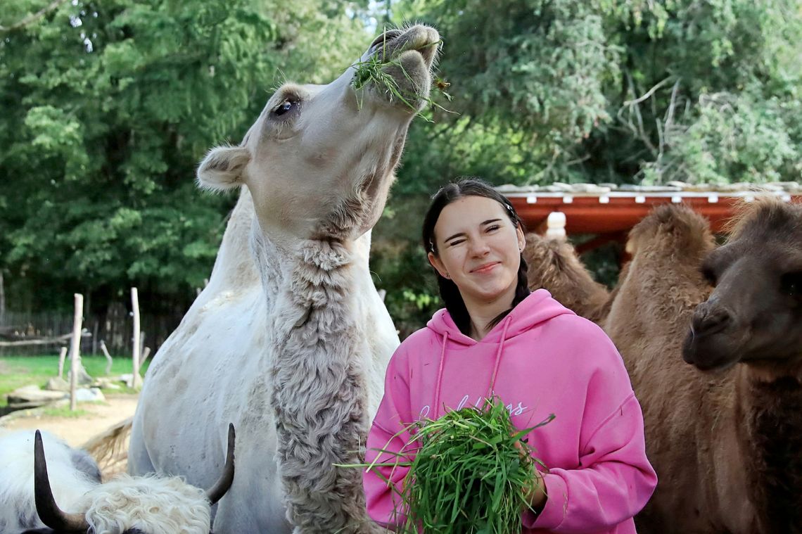 Zoo Görlitz-Zgorzelec Drugim Najlepszym Ogrodem Zoologicznym w Niemczech!