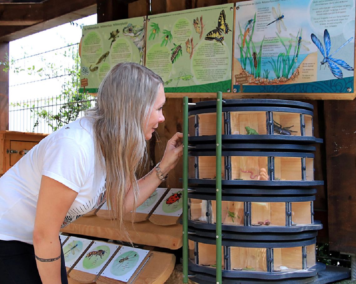 Zoo Görlitz-Zgorzelec otwiera edukacyjny ogród owadów