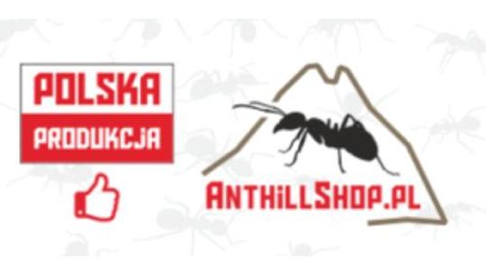 Anthillshop.pl - sklep z akcesoriami do hodowli mrówek