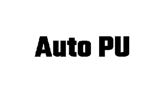 AUTO PU