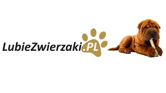 Lubiezwierzaki.pl - wysokojakościowe karmy i przysmaki dla psów