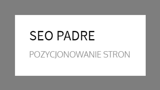 SEO Padre Pozycjonowanie stron 