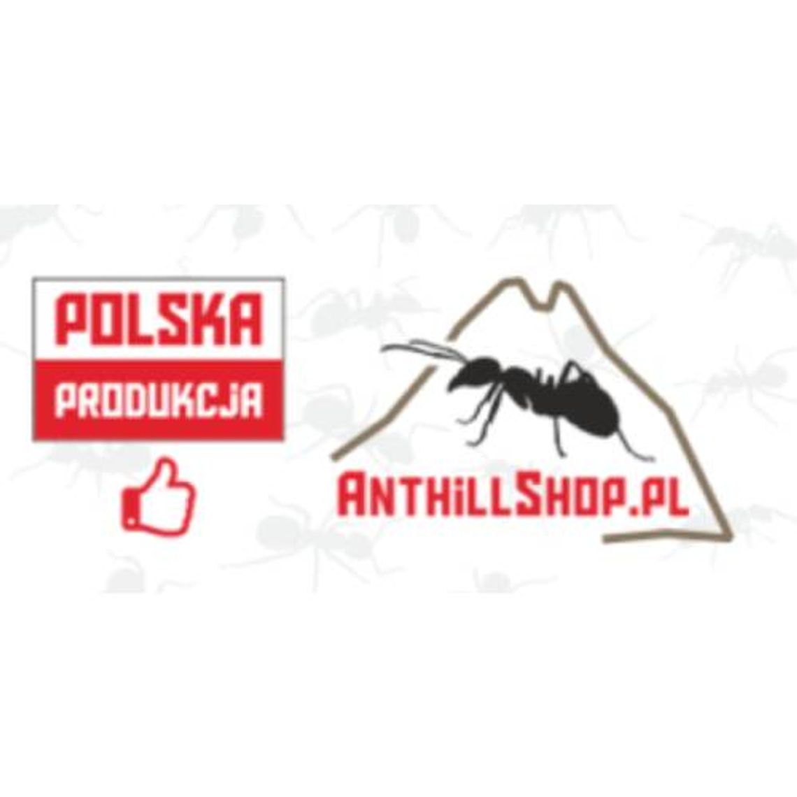 Anthillshop.pl - sklep z akcesoriami do hodowli mrówek