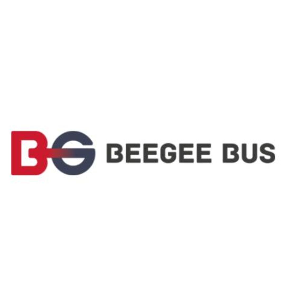 Beegeebus.pl - bezpieczne przejazdy do Niemiec i Holandii 