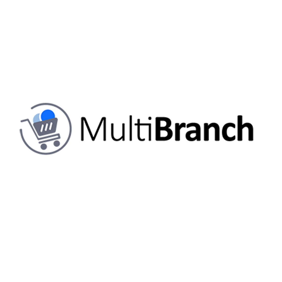 Multi-Branch Multi-Branch