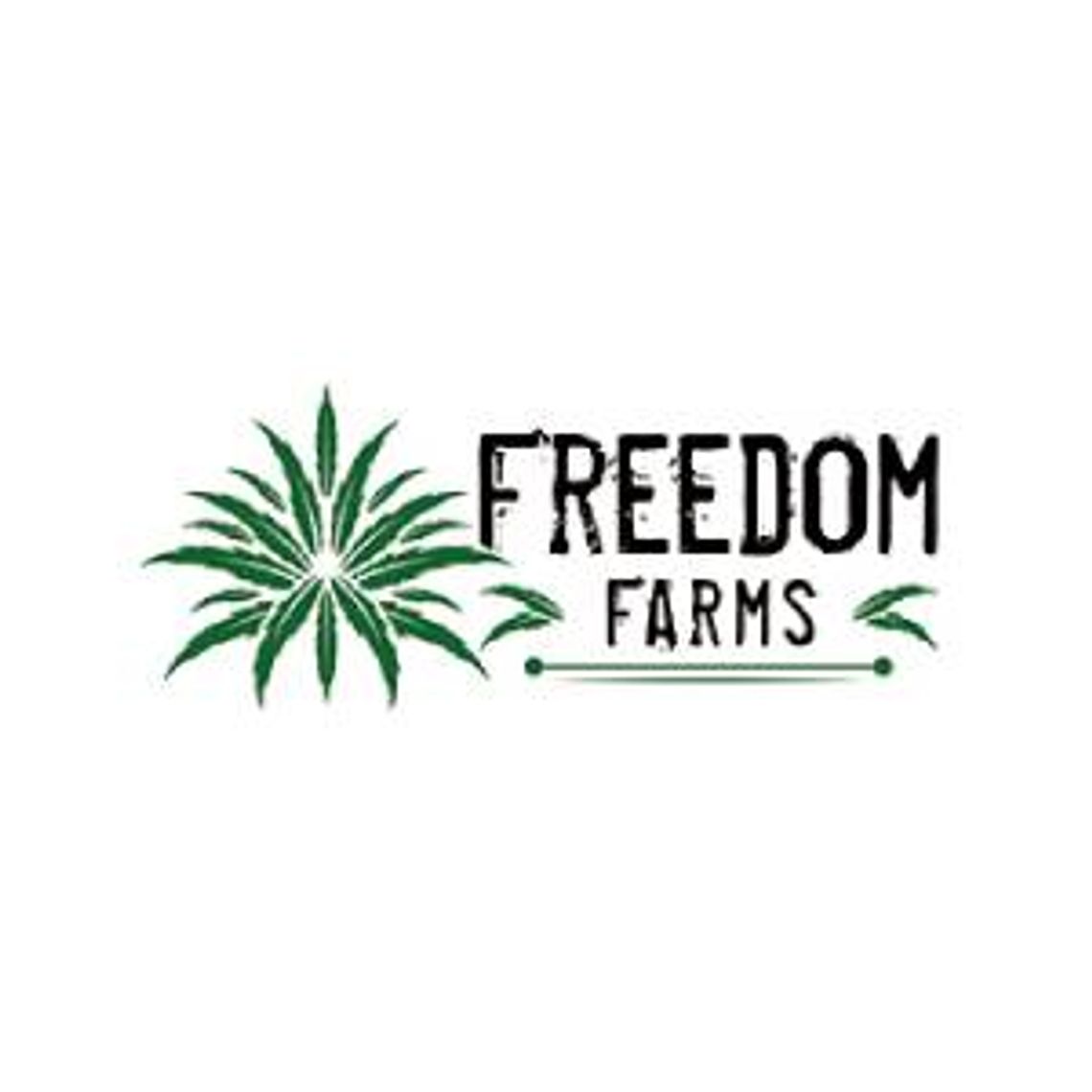 Producent olejków CBD i CBG - Freedom Farms Producent olejków CBD i CBG - Freedom Farms