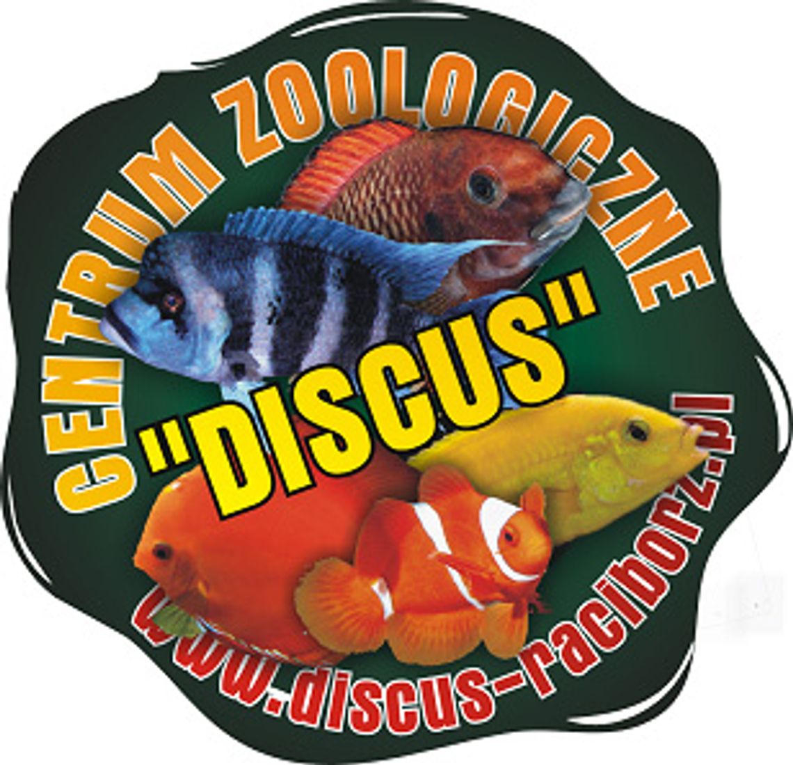 Sklep Zoologiczny i Hodowla Ryb Akwariowych "DISCUS" Sklep Zoologiczny i Hodowla Ryb Akwariowych "DISCUS"