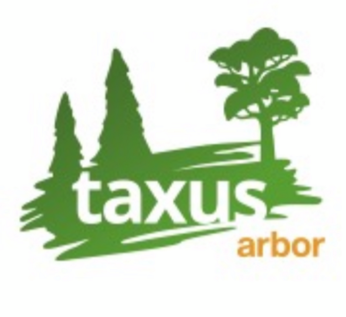 Taxus Arbor wycinka drzew Tychy