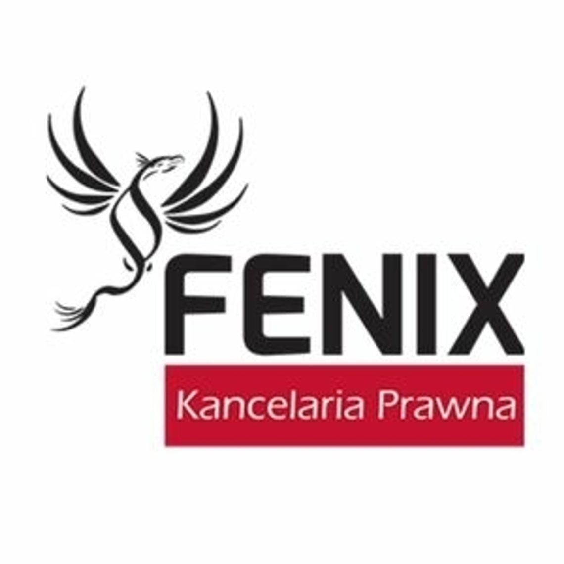 Upadłość konsumencka - Kancelaria Prawna FENIX