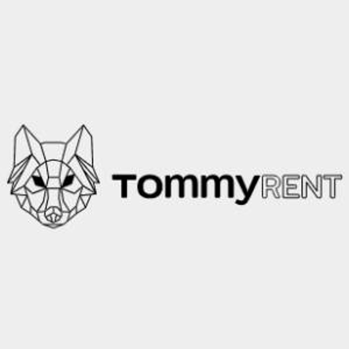 Wynajem powierzchni reklamowych przy drogach - Tommy Rent