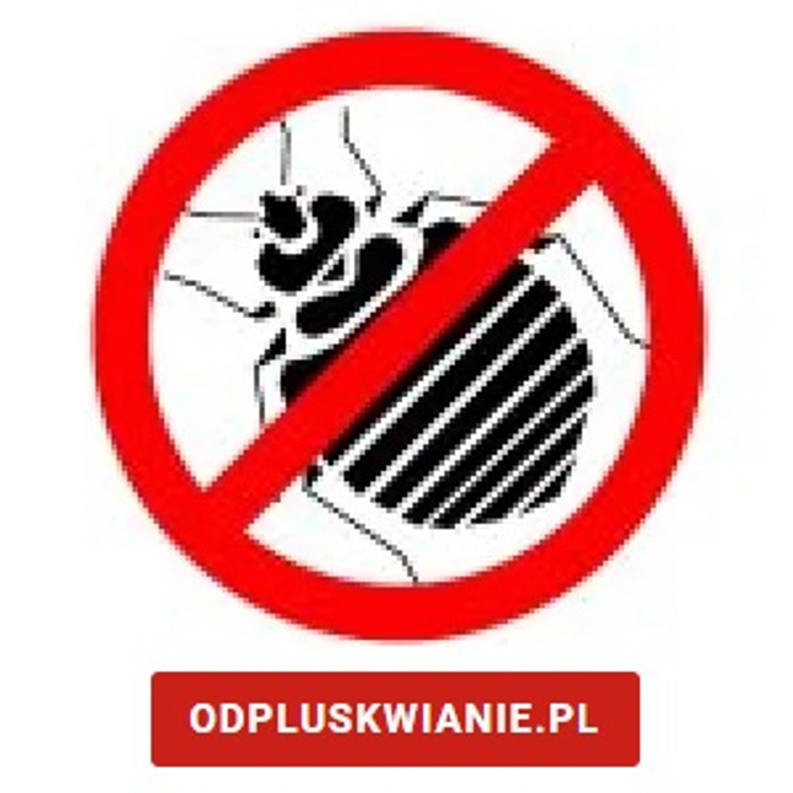 Zwalczanie i usuwanie pluskw - odpluskwianie.pl