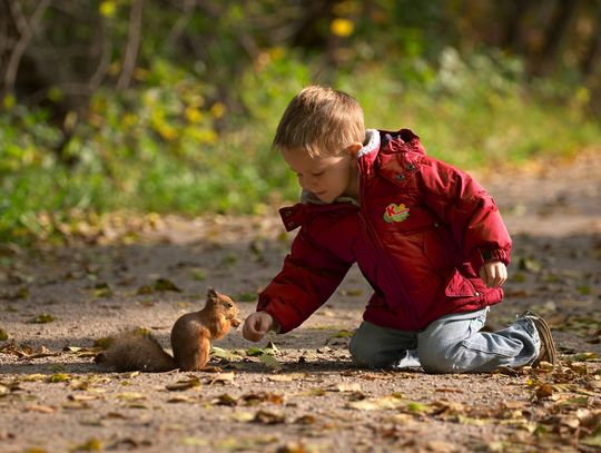 474 przedszkola w województwie dolnośląskim uczą dzieci jak dbać o naturę 